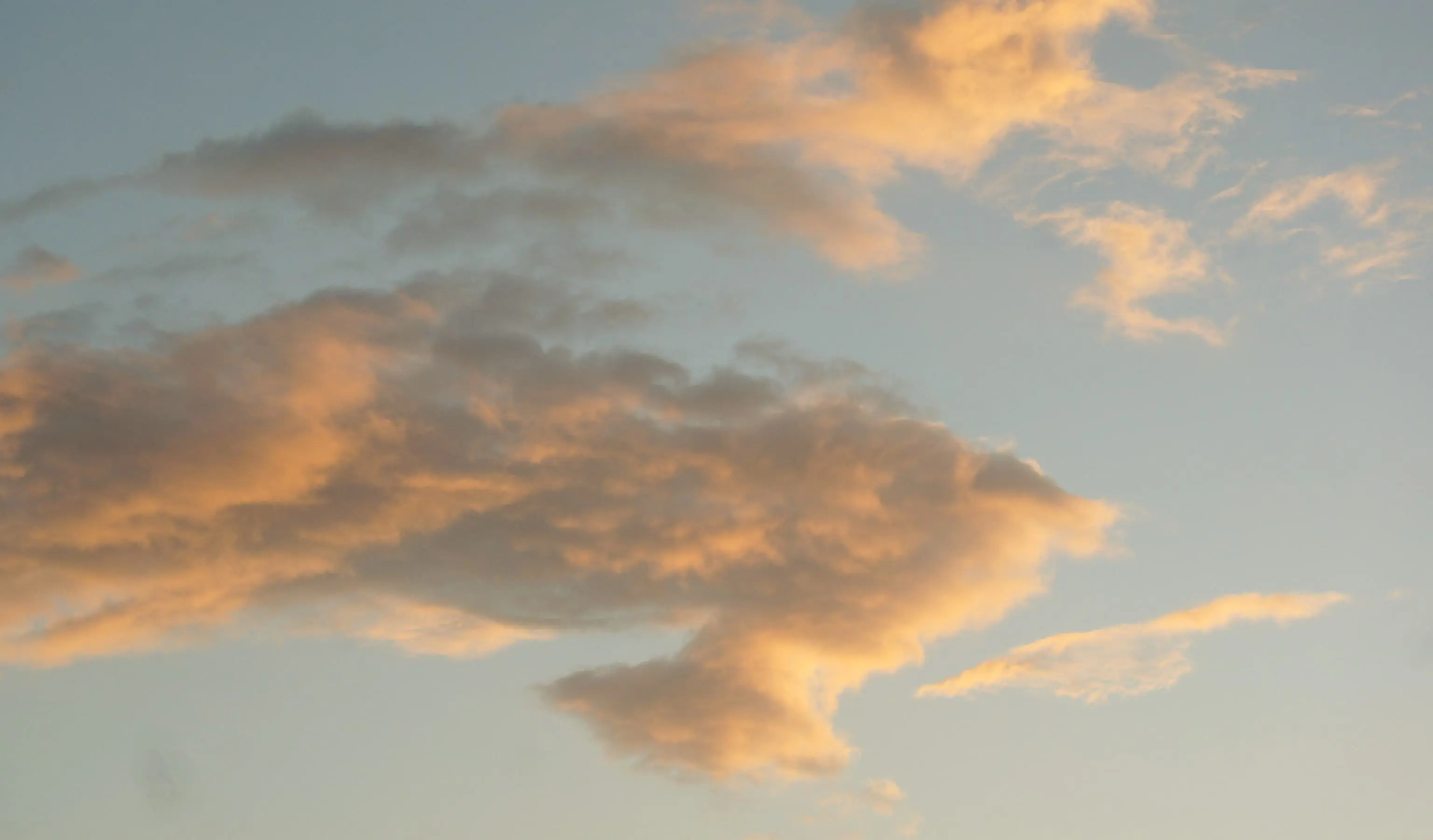 odb20250820.jpg