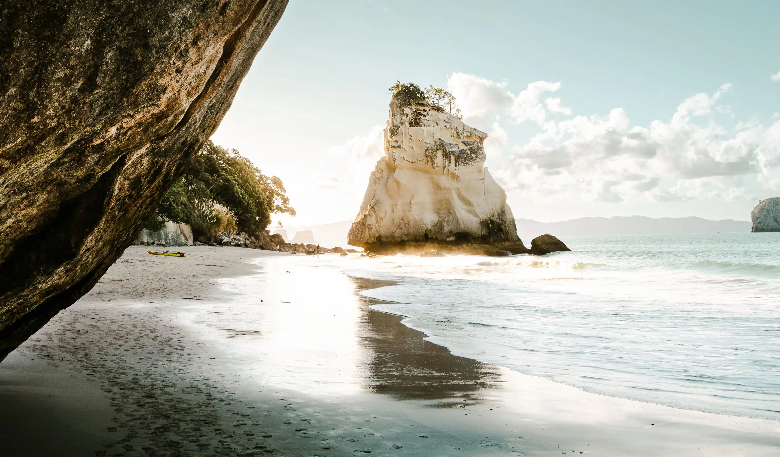 what-does-the-new-testament-say-about-god-s-will