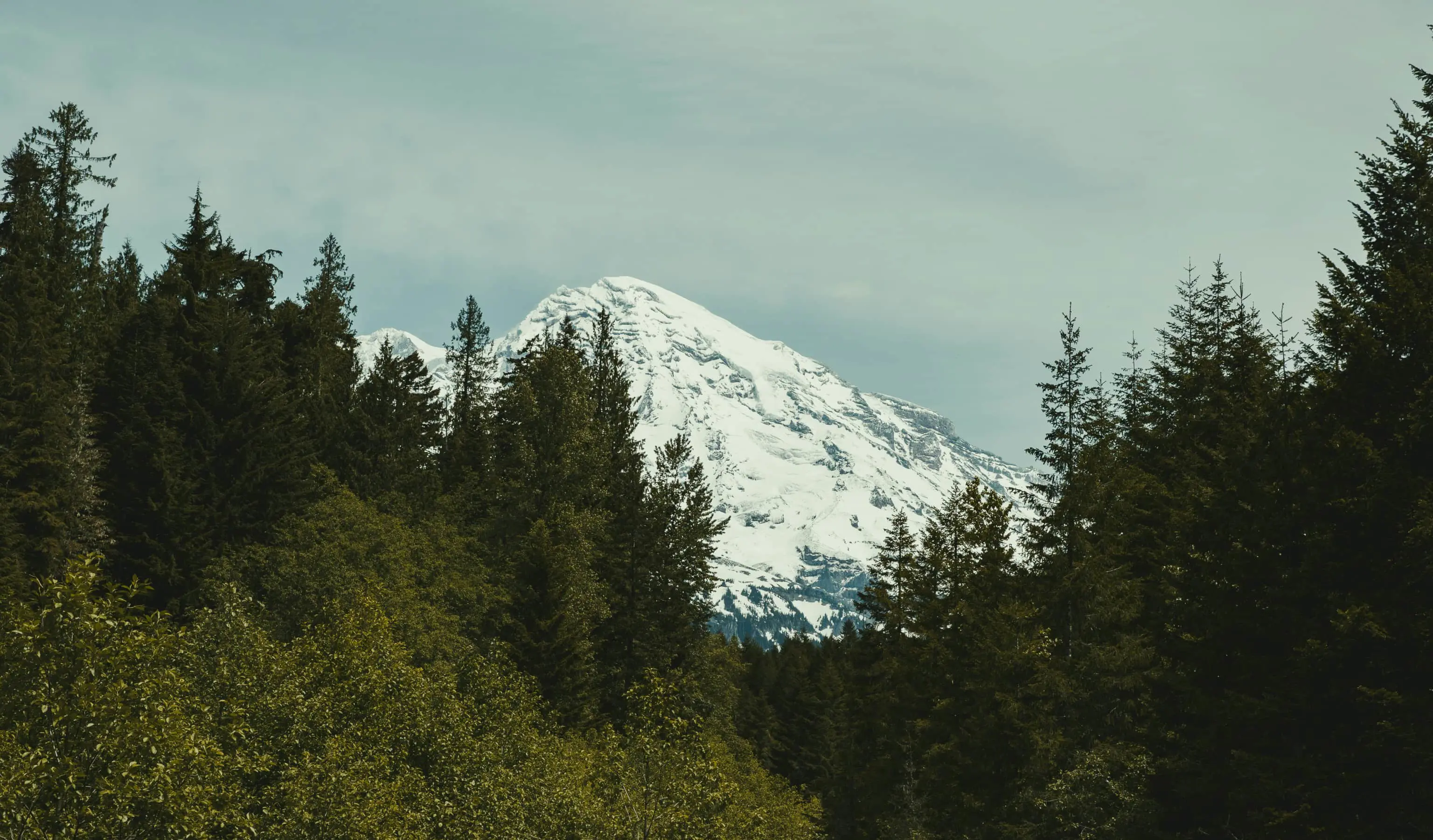 Joy and Strength in God