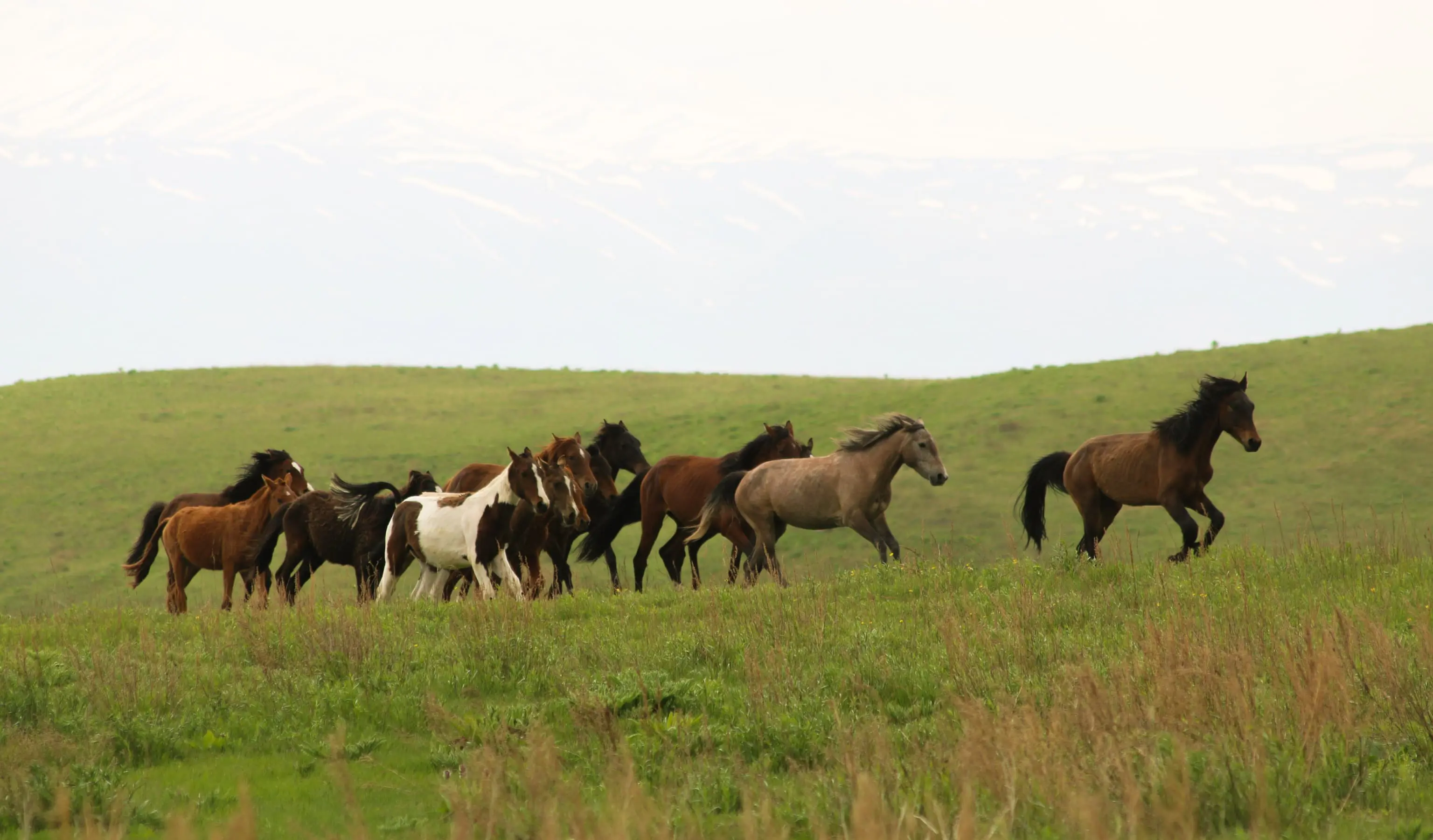 Knowing and Loving Others