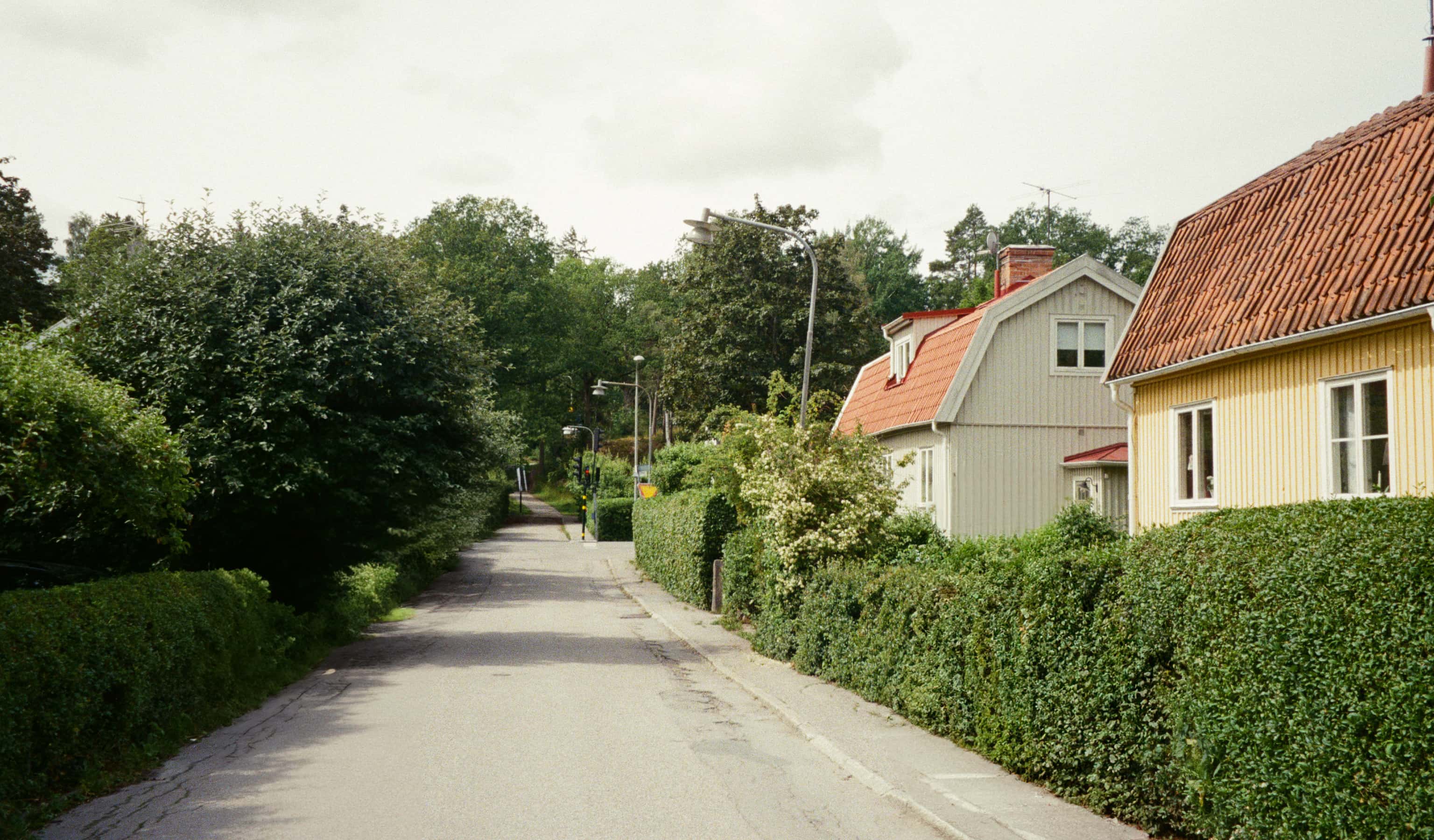 odb20251216.jpg