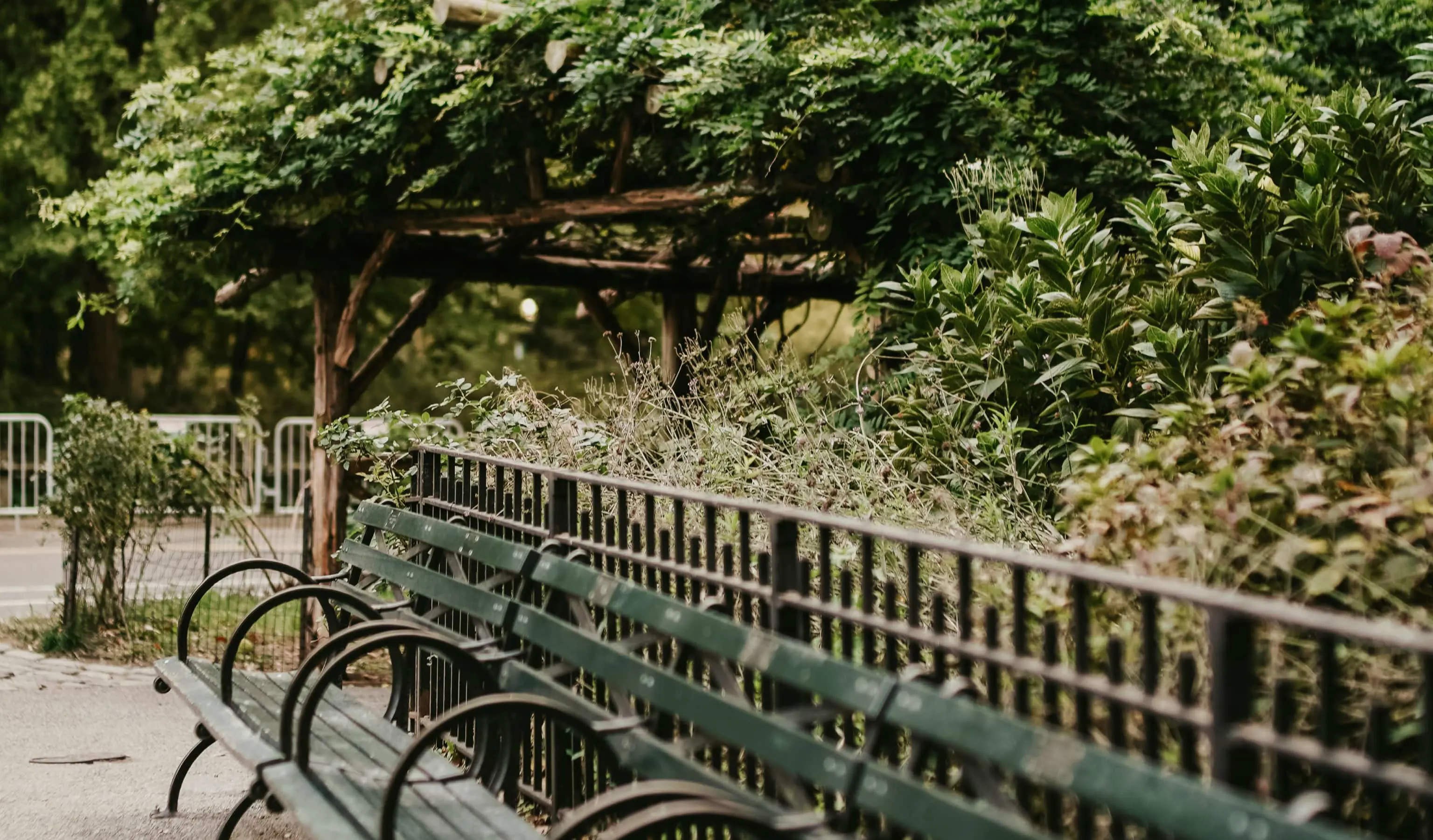 The Friendship Bench