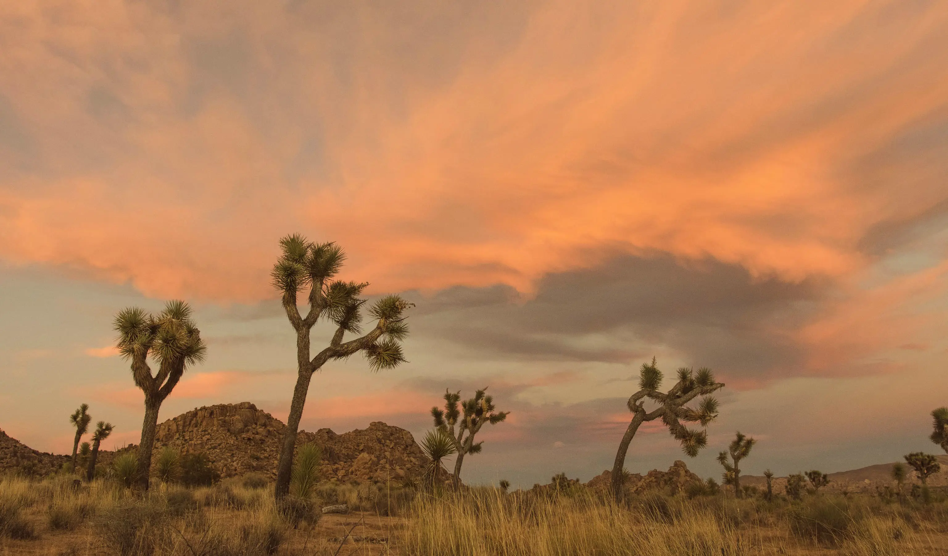 Thank God for His Gifts