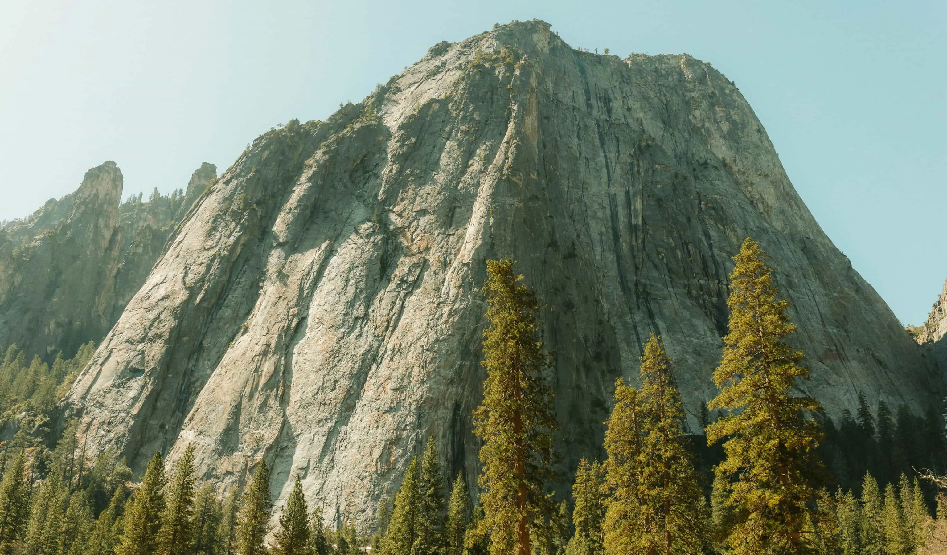 Our Birthright in Christ