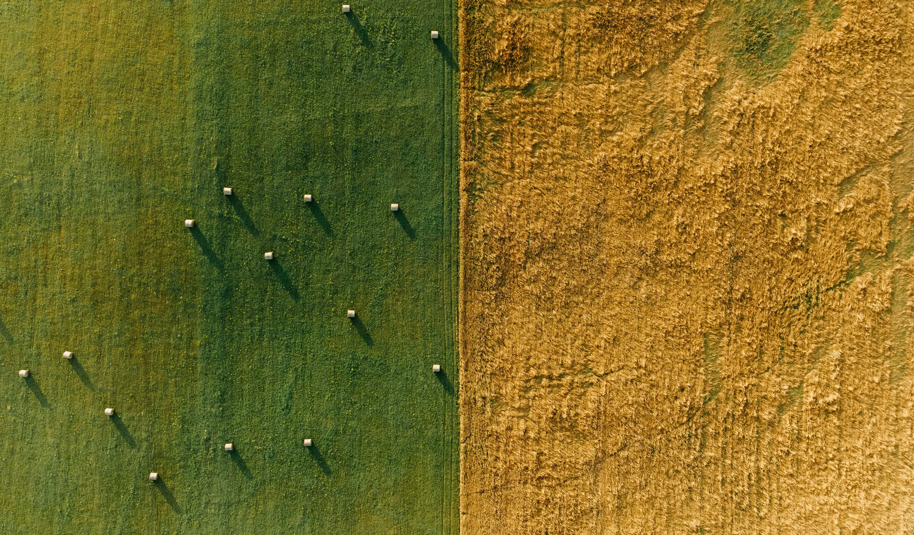 odb20250518.jpg