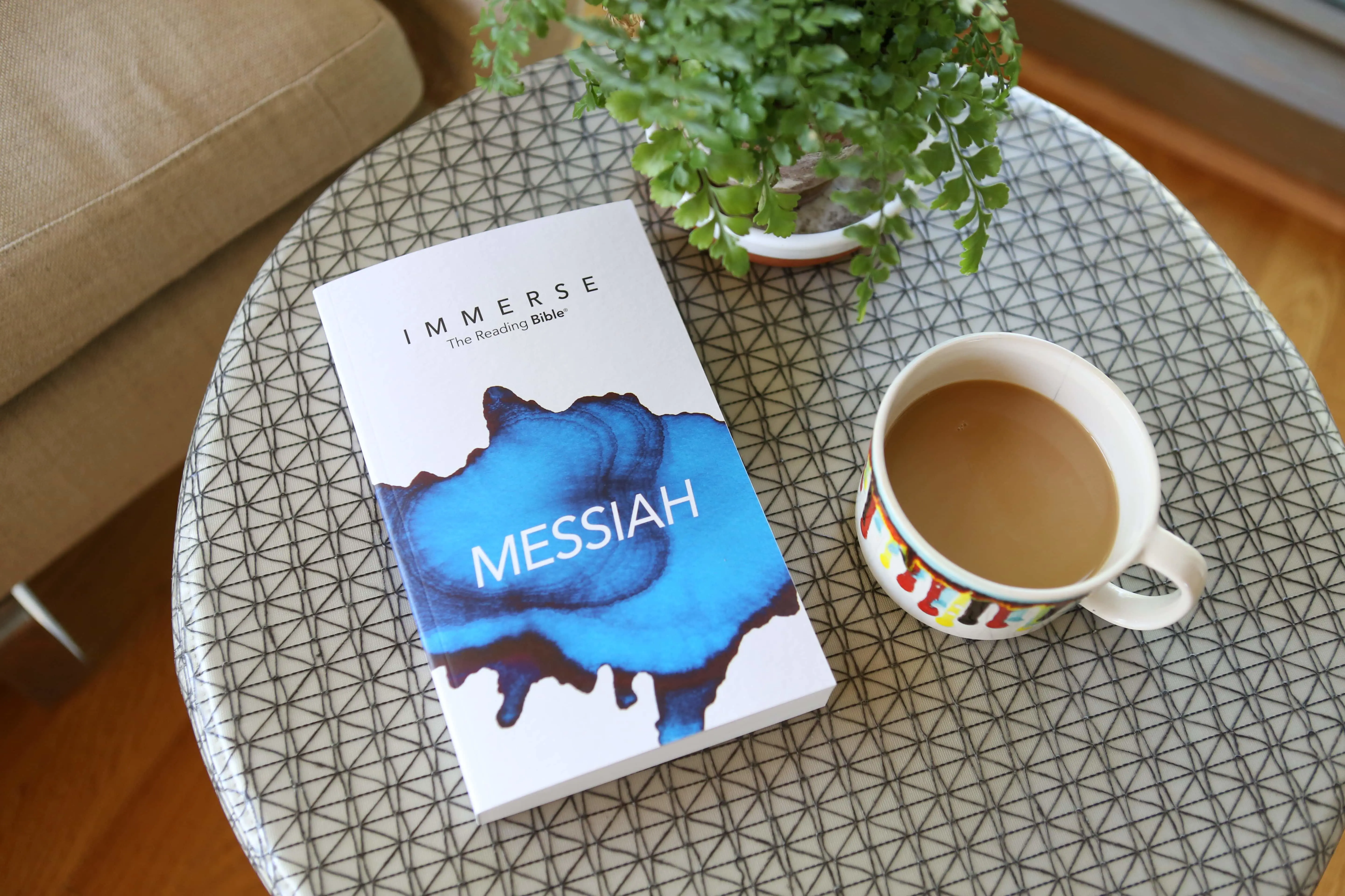 Immerse the reading bible